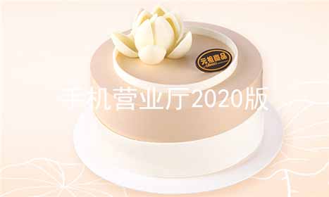 ֻӪҵ2025ϼ