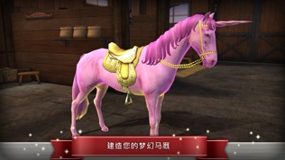 My Horse