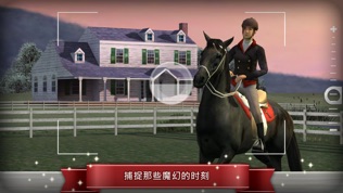 My Horse