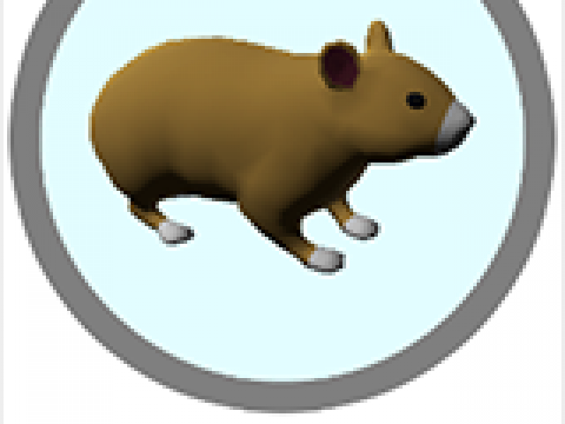 HAMMY Ӣİ