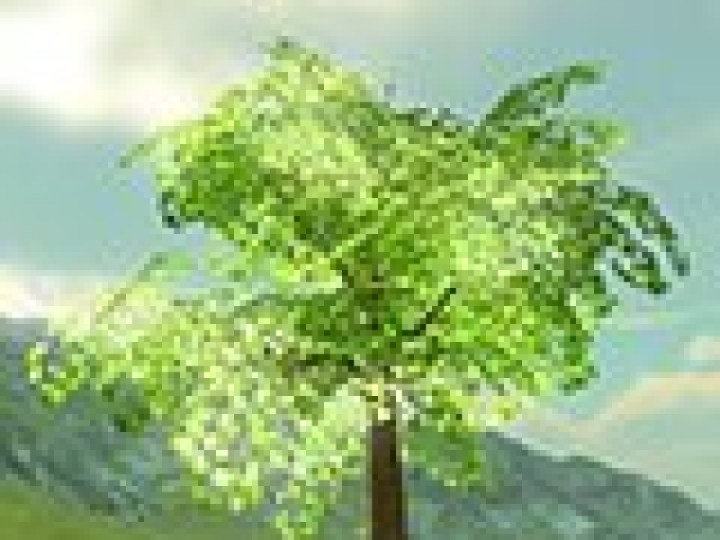 ɫ Ӣİ