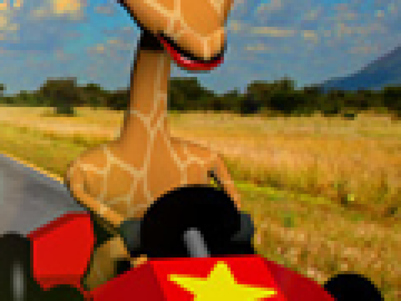 Wild Animal Racing 
