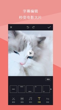 Ƶƴ