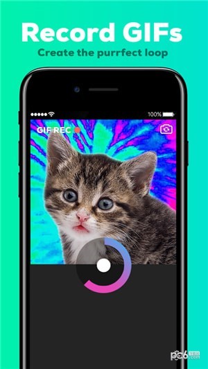 GIPHY Camͼ0