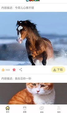 soogifͼ0