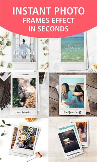 Typic 