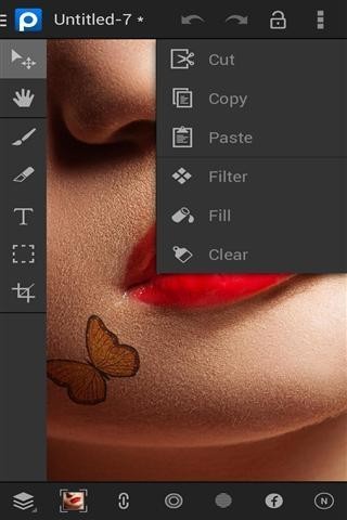 PhotoSuite 2ͼ3