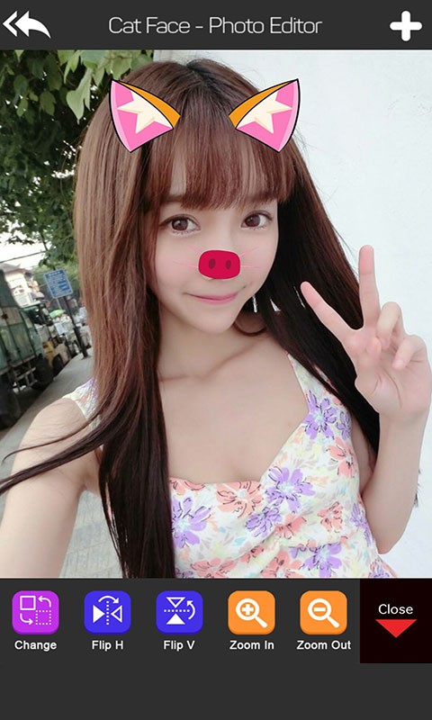 ͼ2