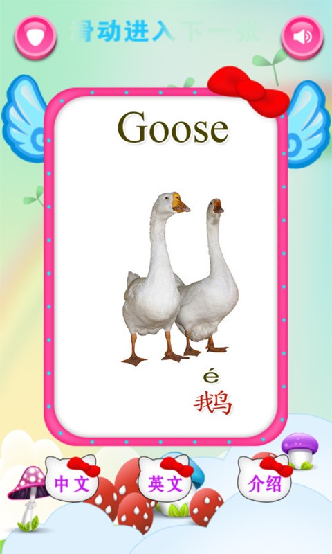ʿѧ