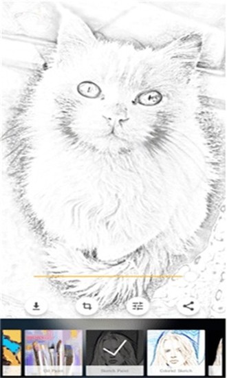 Art Pencil Cameraͼ2