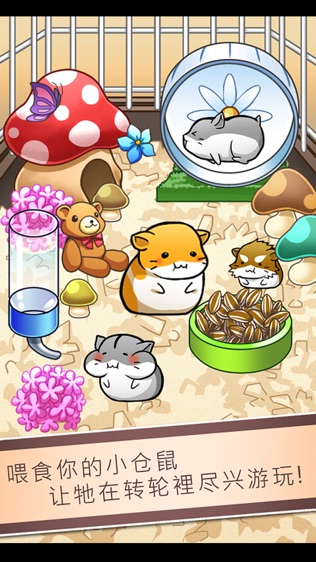 Hamster Life