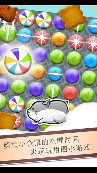 Hamster Life