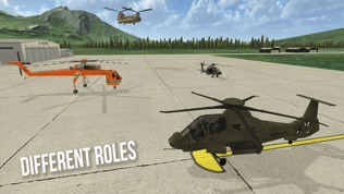 Air Cavalry