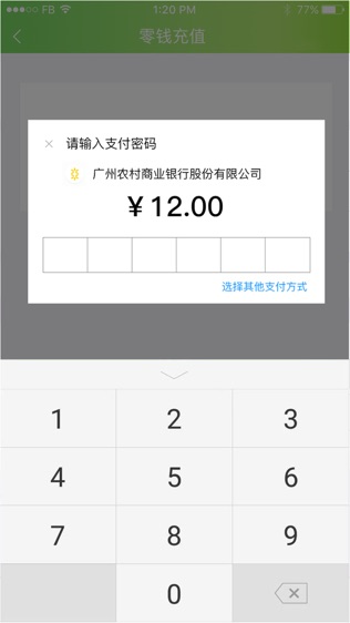林安支付
