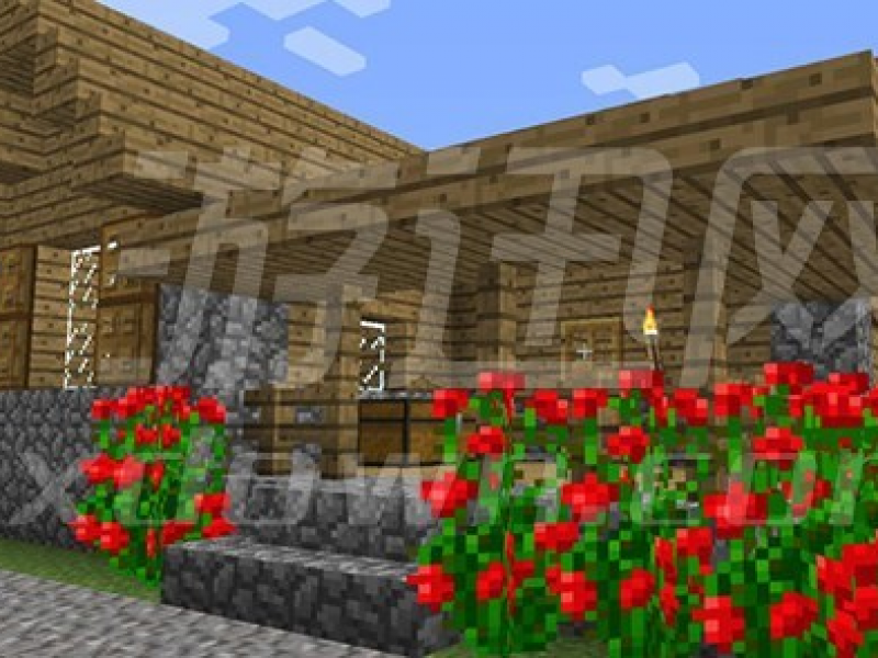 ҵµĽϰ 1.8.9İ