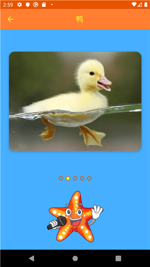ǵĶ