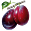 ÷ļƵʻ