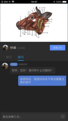 ޿