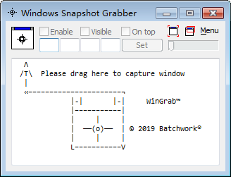 Windows Snapshot Grabber(Ļͼ)
