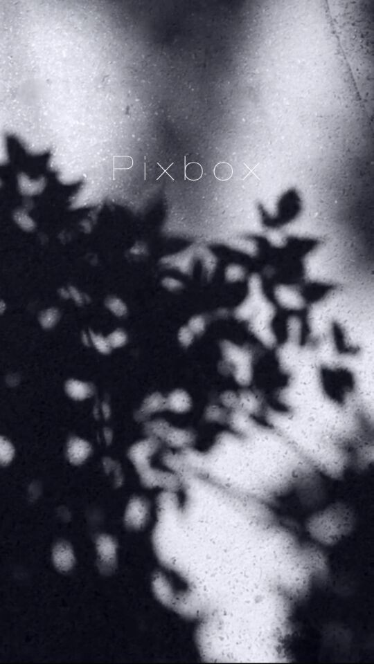 Pixbox屦