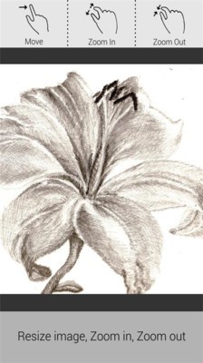 Ǧʦ