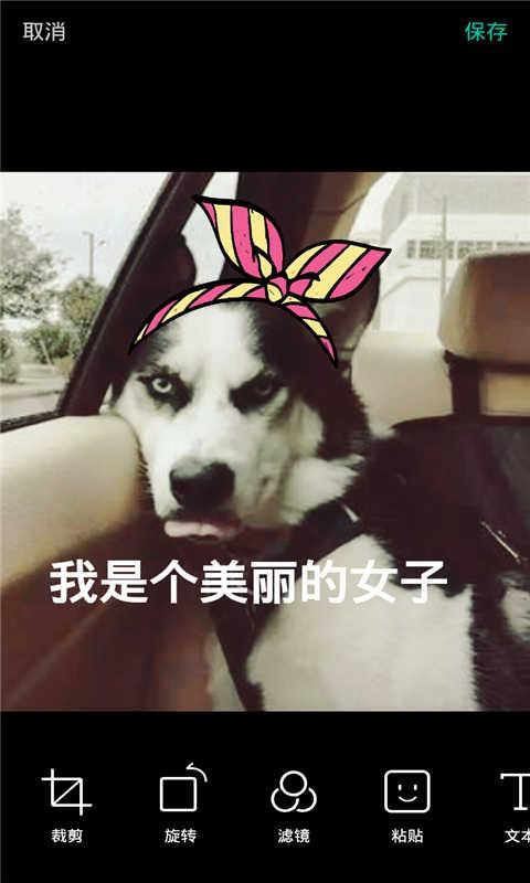 ʼͼ1