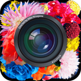 Cameran鴨ʵ