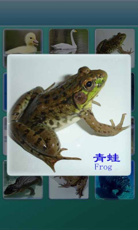 ѧʶ