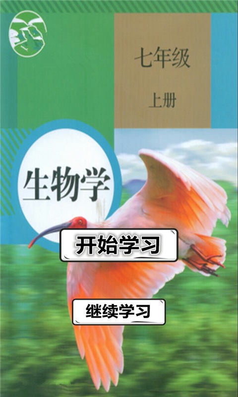 꼶ϲ