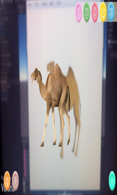 ˼AR