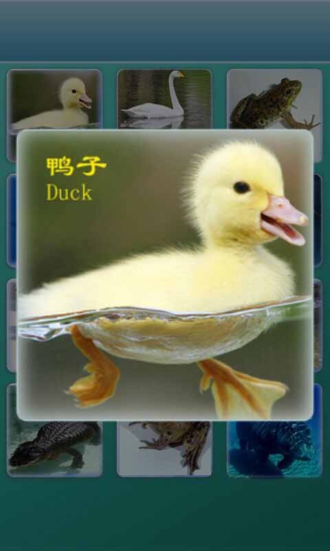 ѧʶ