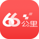 66