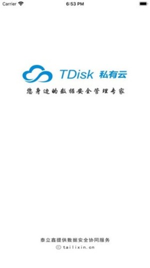 tdisk˽