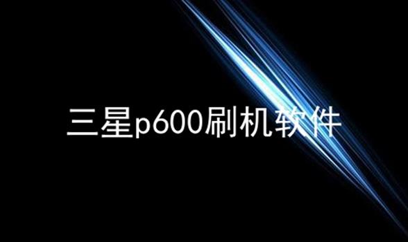 p600ˢϼ