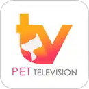ȳTV