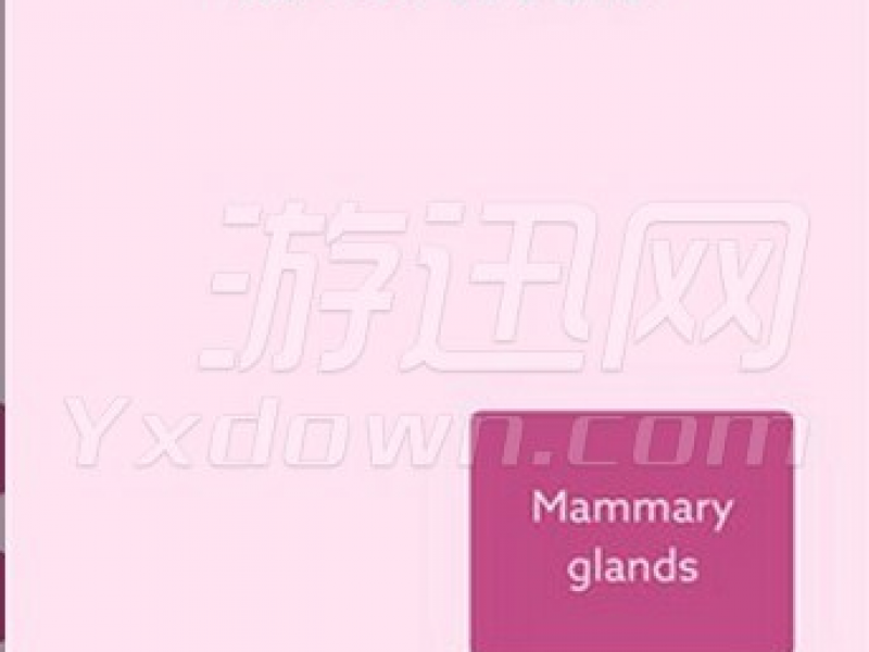 Կ϶2ѷ ԰v1.0ͼ