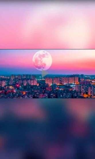 ¼