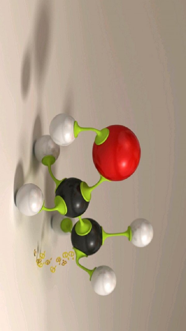 ˸ѵ