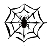 Spider Network