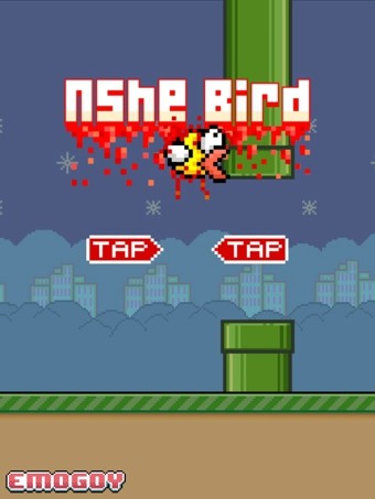 Nshe Bird