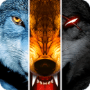 (Wolf Online)