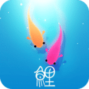 KOI