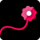 ߴ