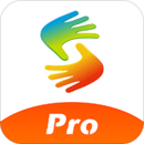 Pro