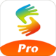 Pro