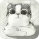 ǿץ
