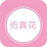 й滨ƽ̨