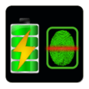 Fast Battery Charger