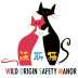 ˹è