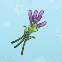 薰衣草